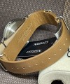 Citizen BJ6501-10L
